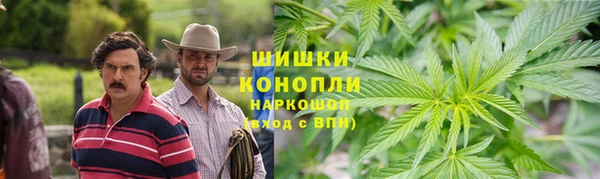 сатива Абинск