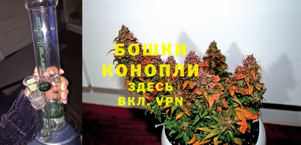 сатива Абинск