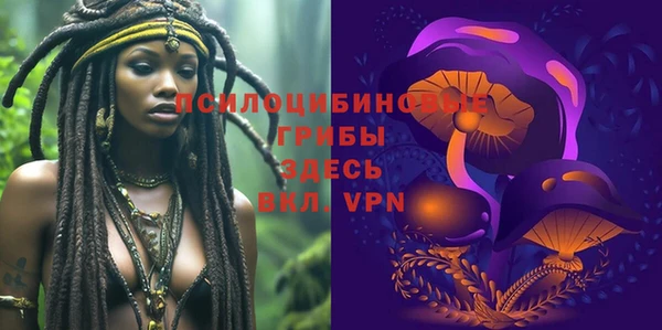 сатива Абинск