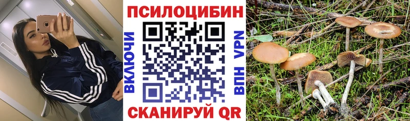 Псилоцибиновые грибы ЛСД  что такое   Приволжский 